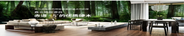 暗网禁区免费版地板